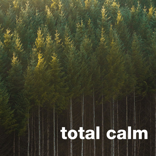 Total Calm cover art