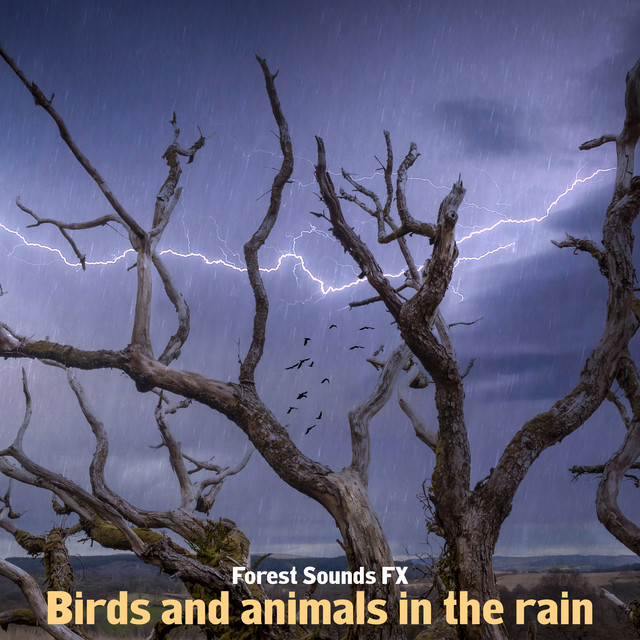 Birds and animals in the rain