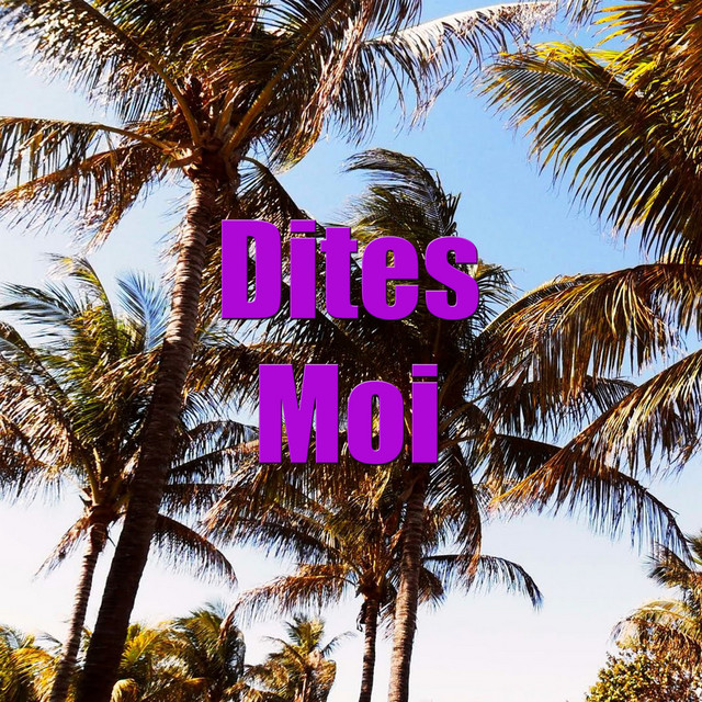Dites Moi cover art