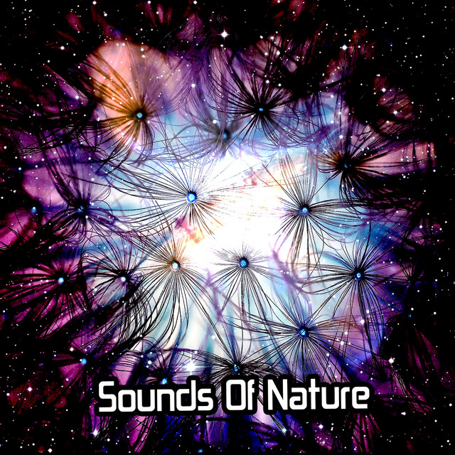 Sounds Of Nature - Album by Nature Sounds Nature Music | Spotify