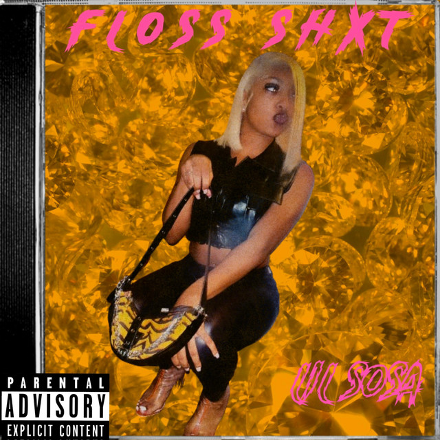 Floss Shxt cover art