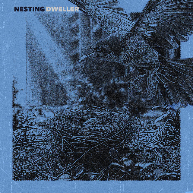 dweller