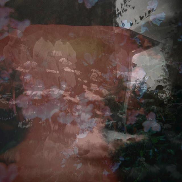 Perennial Phase cover art
