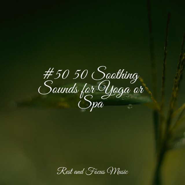 #50 50 Soothing Sounds for Yoga or Spa - Album by Relajación | Spotify
