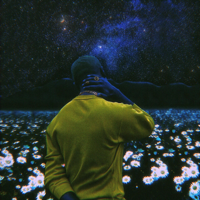 Basics cover art