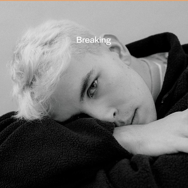 Breaking cover art
