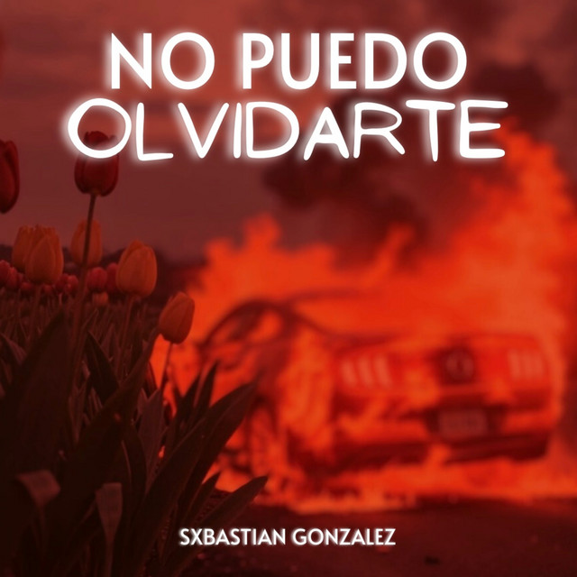 No Puedo Olvidarte