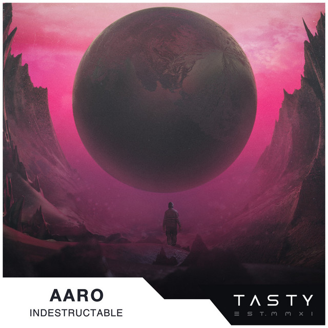 Indestructable cover art