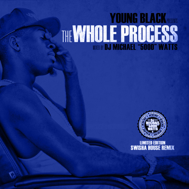 The Whole Process [Swishahouse Remix] cover art