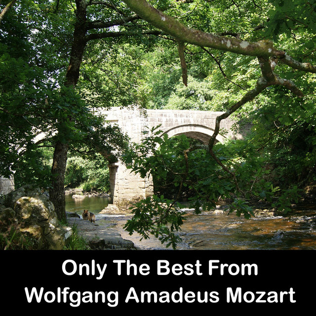 Only The Best From Wolfgang Amadeus Mozart cover art