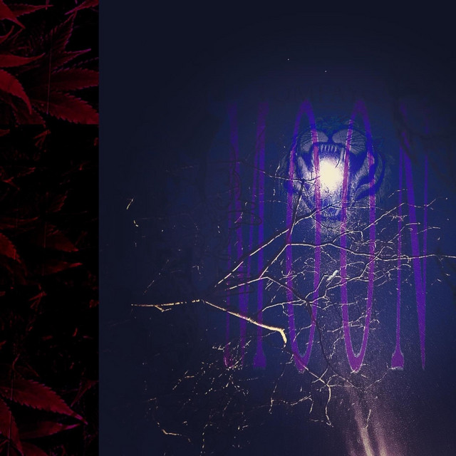 moon cover art