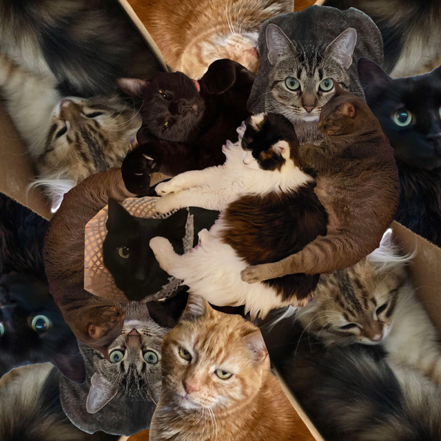 THE BUGTAPE cover art