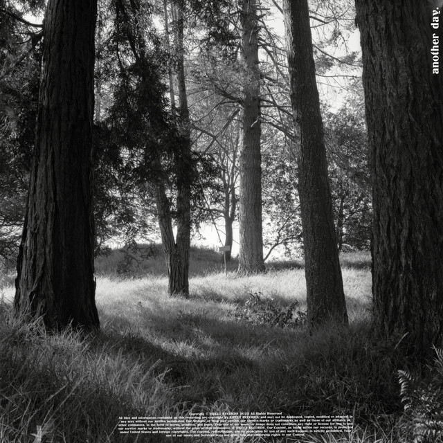 Another Day cover art