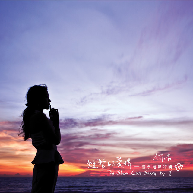 短暂的爱情 cover