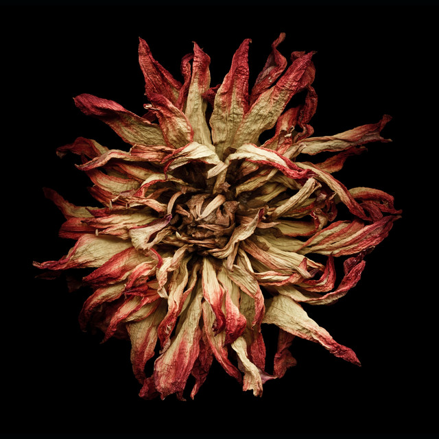 Velichor (single)
