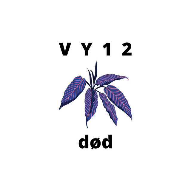 VY1 Photo