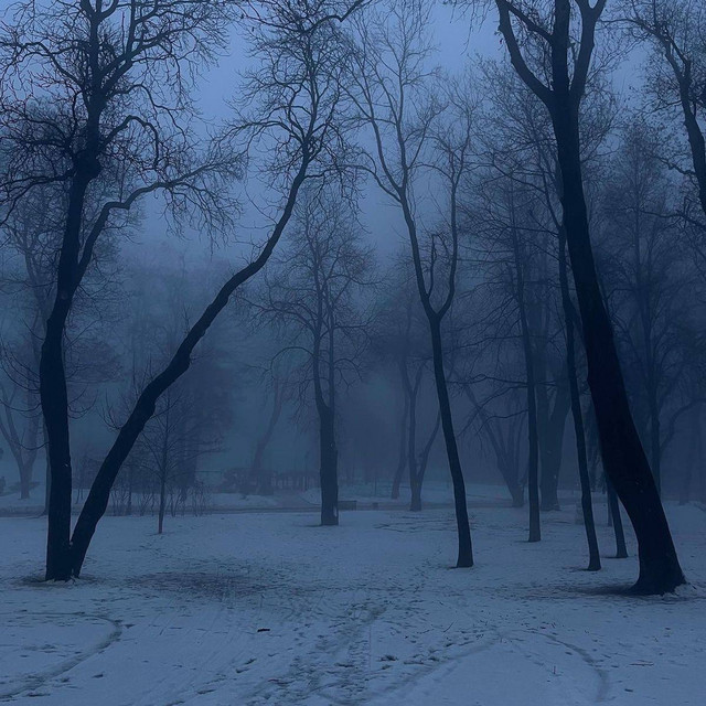Плачь cover art