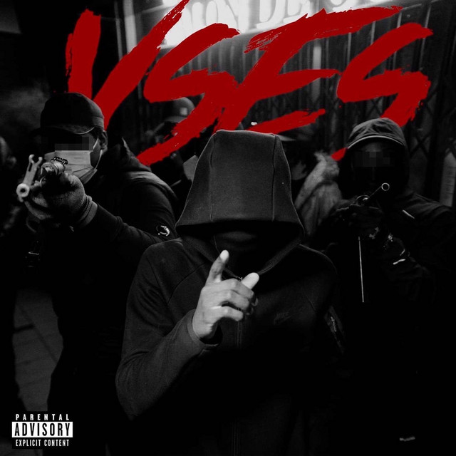 Vses cover art