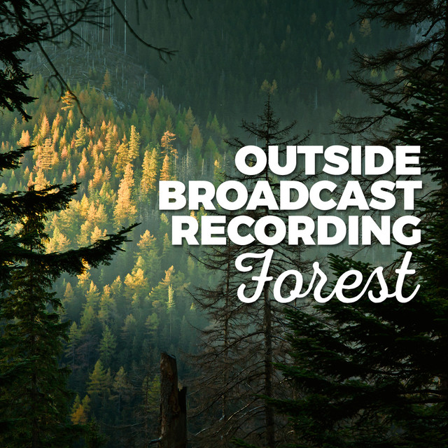 Outside Broadcast Recording: Forest