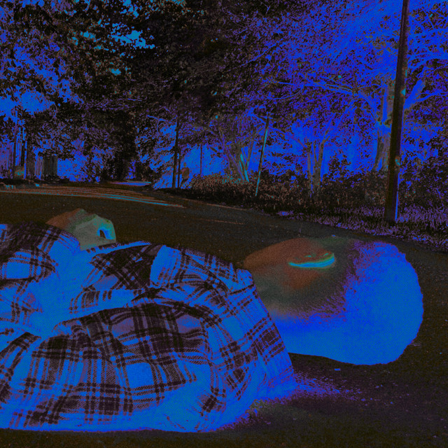 Bohemian. cover art