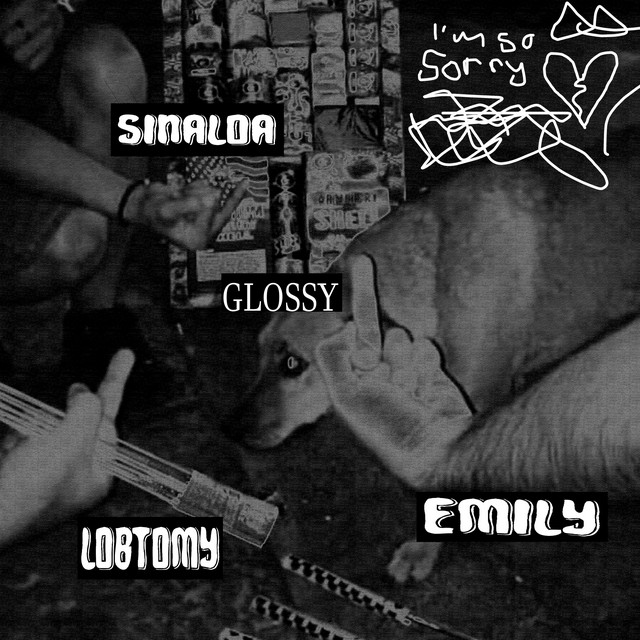 I'm So Sorry cover