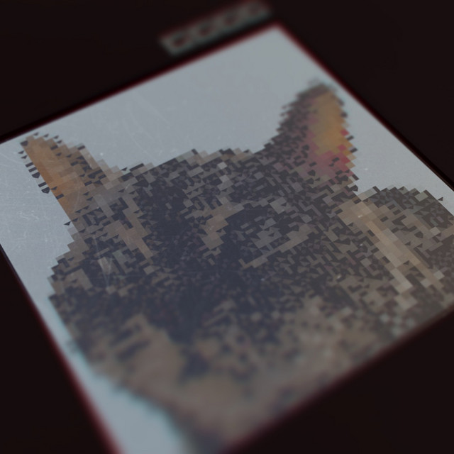 LIVE PROJECT cover art