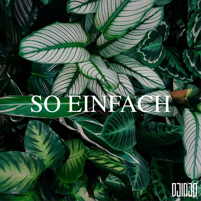 So einfach cover