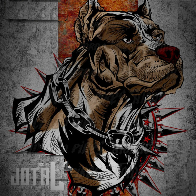 OLHA OS PITBUL PASSANDO