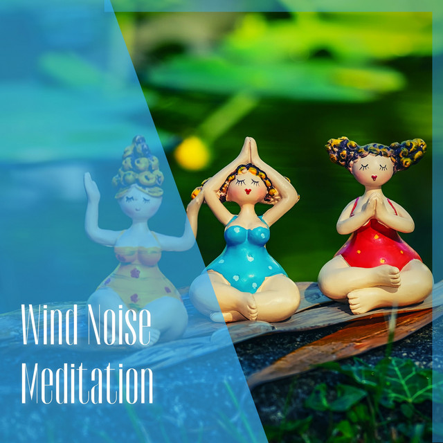 Wind Noise Meditation - Calm and Soothing Treatment cover art