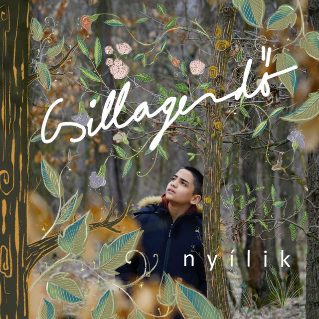 Nyílik cover art