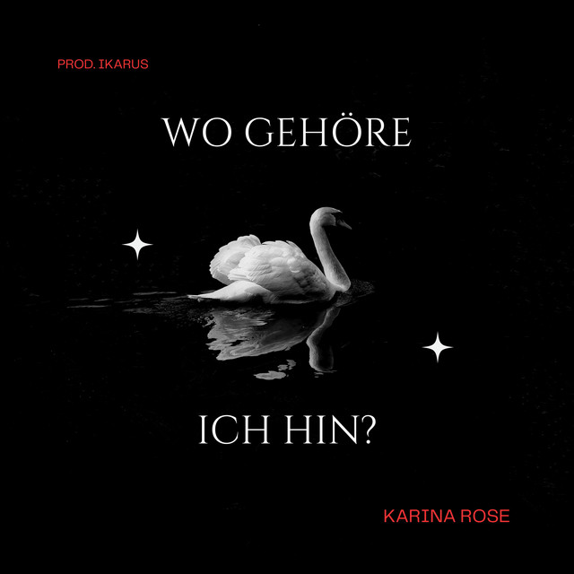 Wo gehöre ich hin? cover art