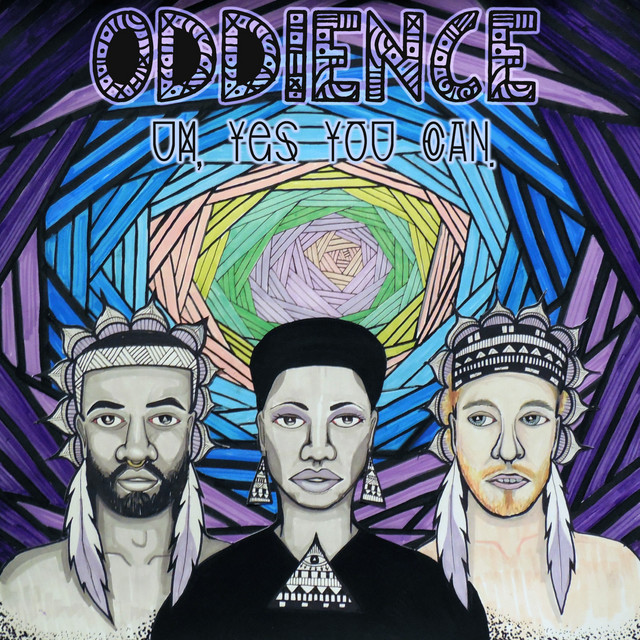 Um, Yes You Can cover art
