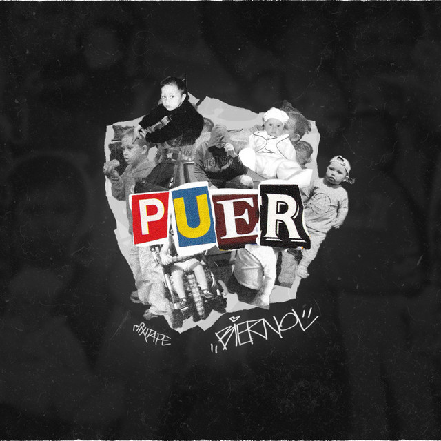 Puer cover art