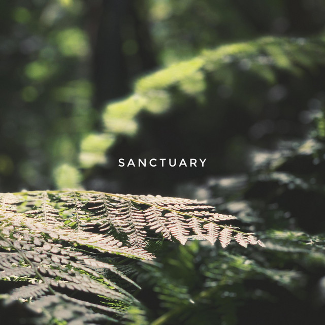 Sanctuary cover art