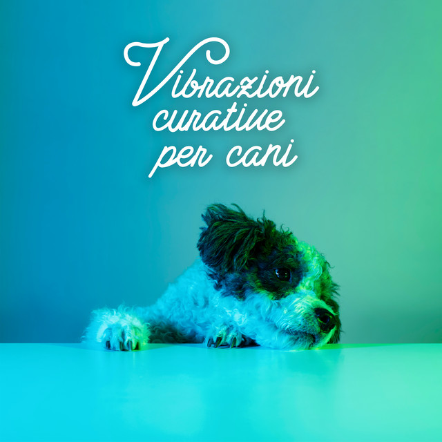 Vibrazioni curative per cani cover art
