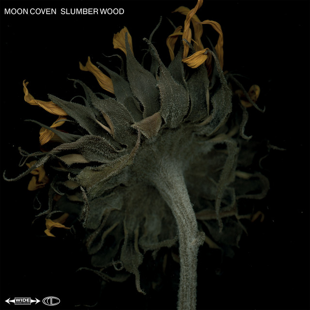 Slumber Wood cover