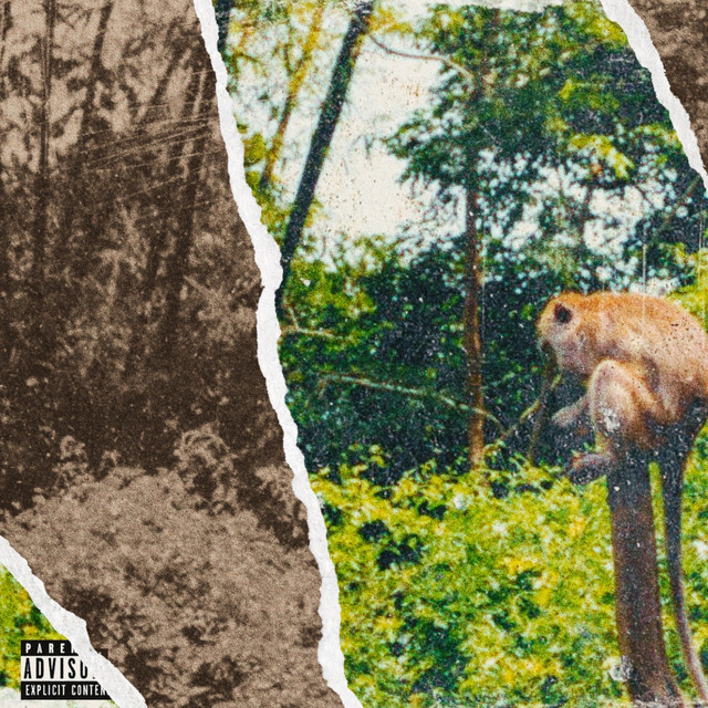 NATURAL SELECTION cover art