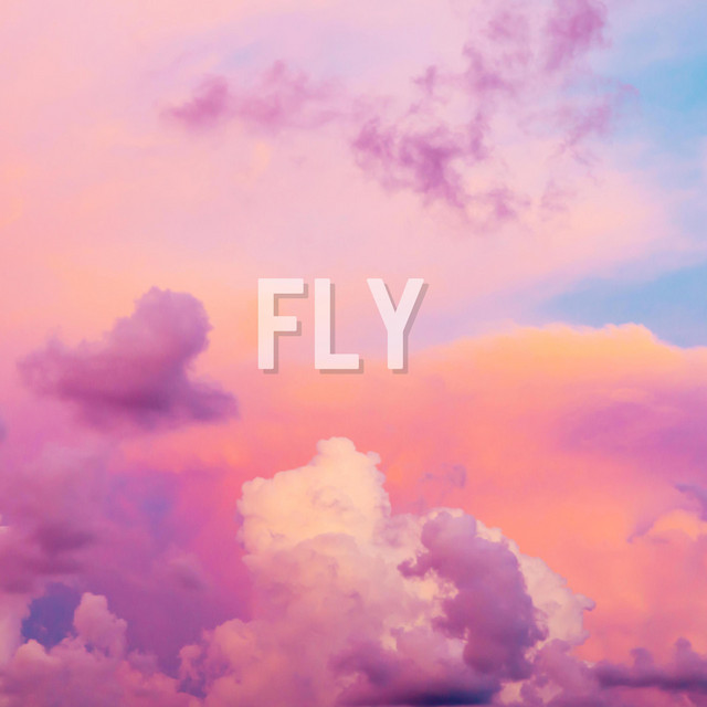 Fly