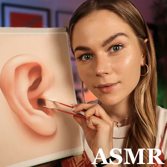 Measuring Every Inch of Your Ears cover art