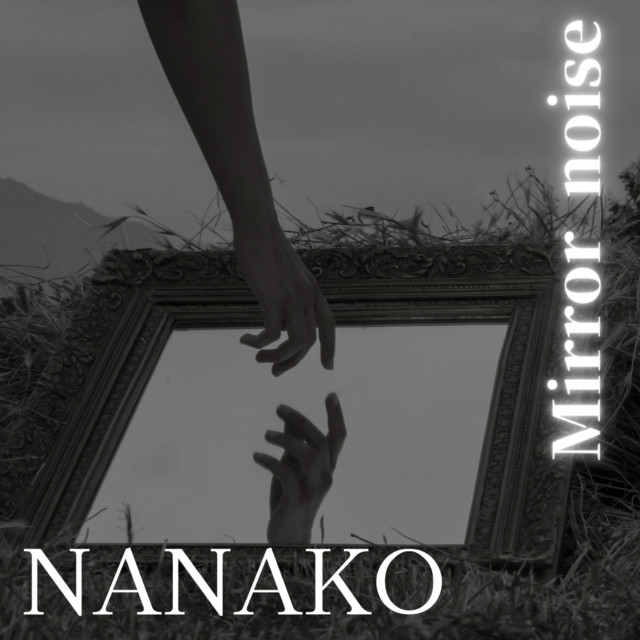 Mirror noise cover