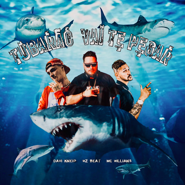 Обкладинка: Tubarão Vai Te Pegar — WZ Beat