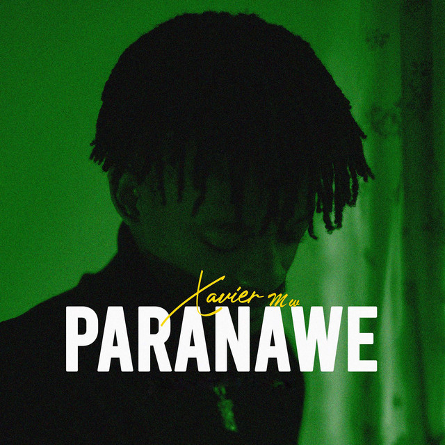 undefined album image