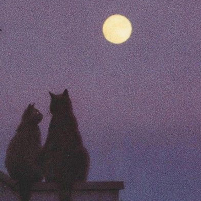 Gata Lunar