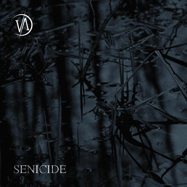 Senicide cover