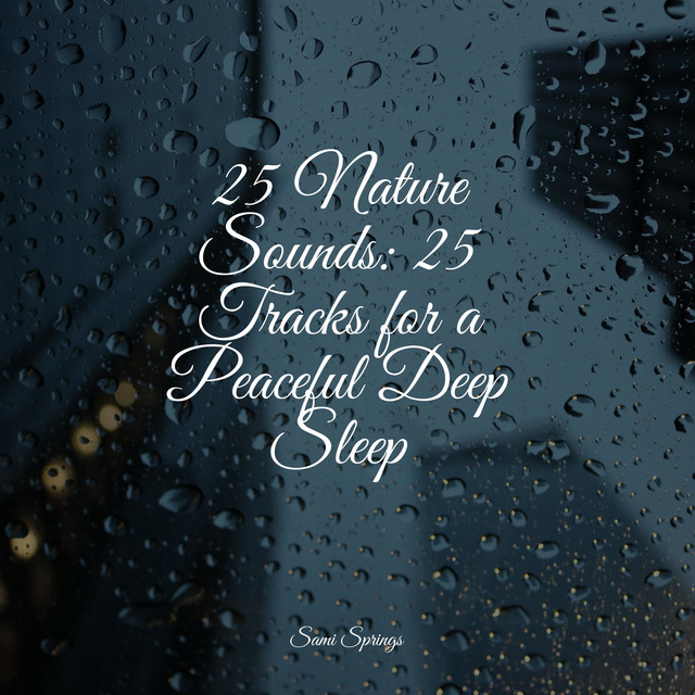 25 Nature Sounds: 25 Tracks for a Peaceful Deep Sleep - Album by ...