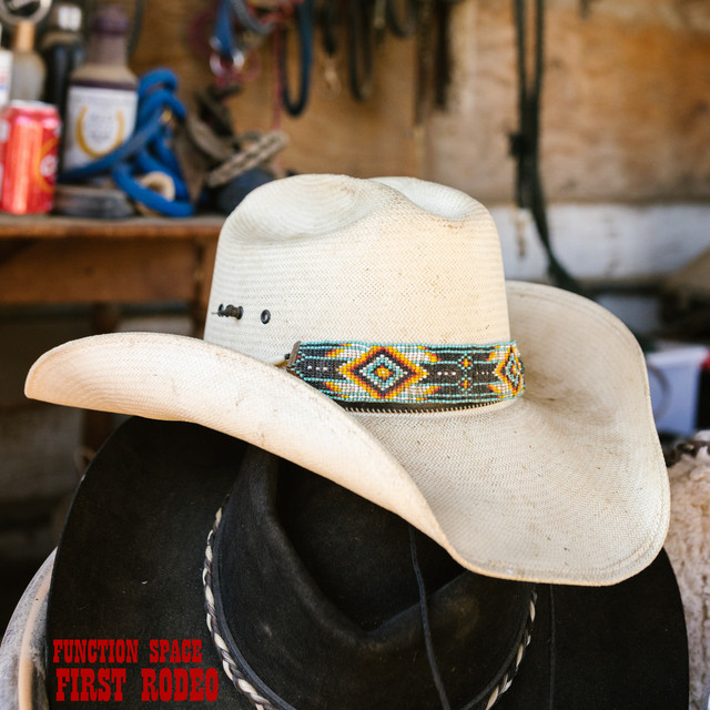 First Rodeo album image