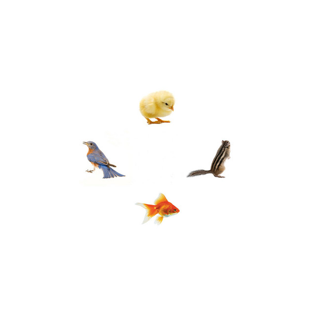 Inside cover art