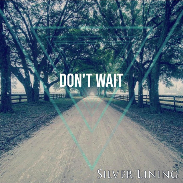 Don’t Wait cover art