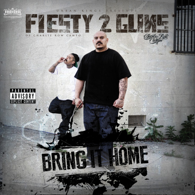 Bring It Home cover art