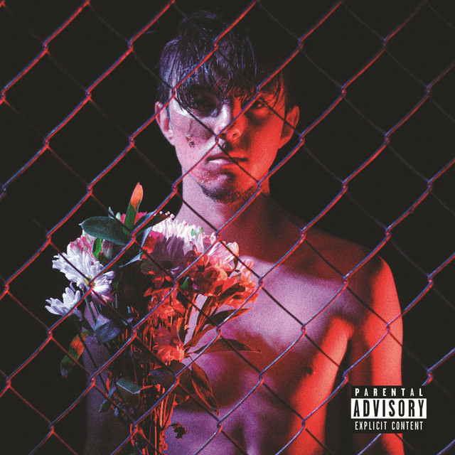 My Fault For Being Here cover art